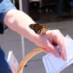 HNC's Butterfly Release Memorial is open to all in the community who have experienced a loss, and to the families cared for by our hospice. Guests will enjoy an inspirational message, music, art, drum circle and the releasing of butterflies in memory of loved ones.