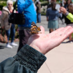 HNC's Butterfly Release Memorial is open to all in the community who have experienced a loss, and to the families cared for by our hospice. Guests will enjoy an inspirational message, music, art, drum circle and the releasing of butterflies in memory of loved ones.